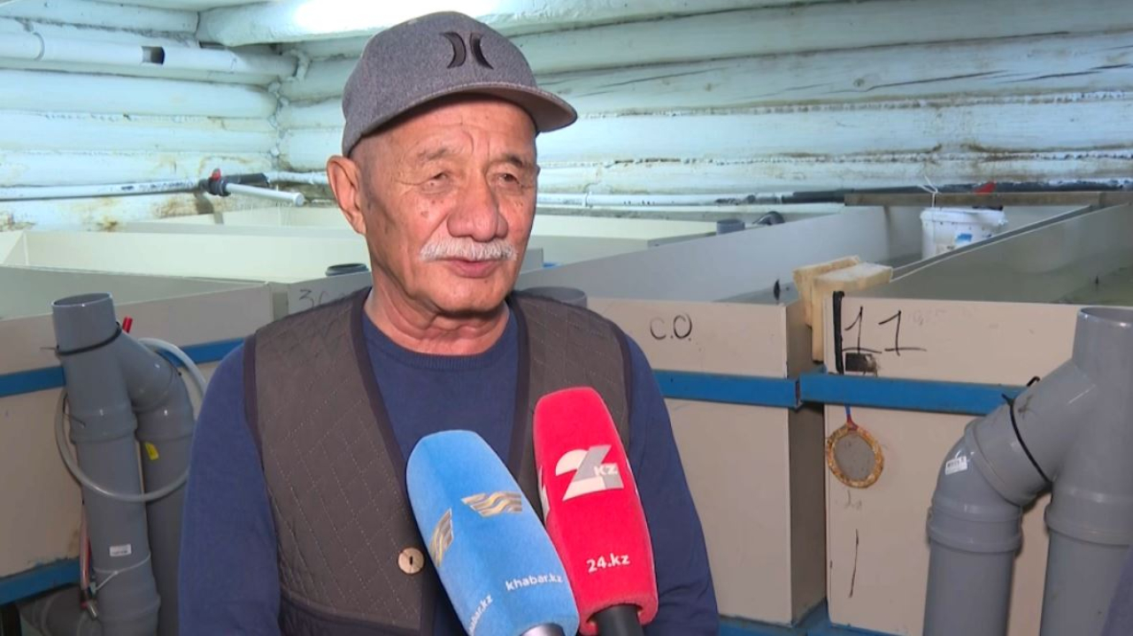 Ценные породы осетровых рыб выращивает пенсионер в Актобе