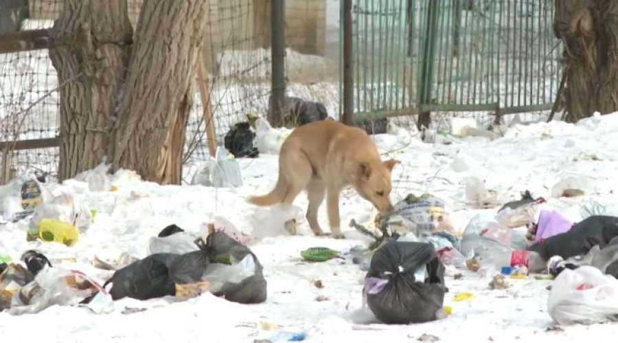 Контроль за вывозом мусора усилили в Актюбинской области