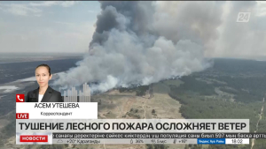 Тушение лесного пожара в области Абай осложняет ветер. LIVE