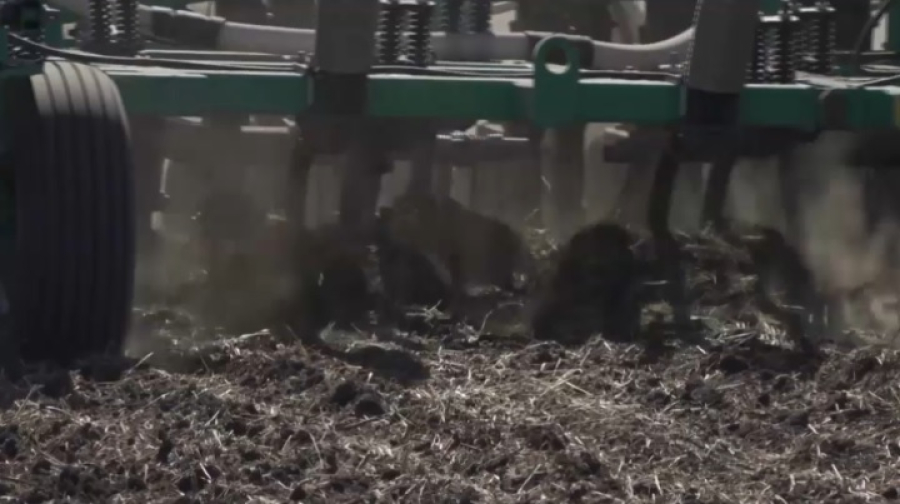 Площадь посевов в Казахстане вырастет до 24 млн га