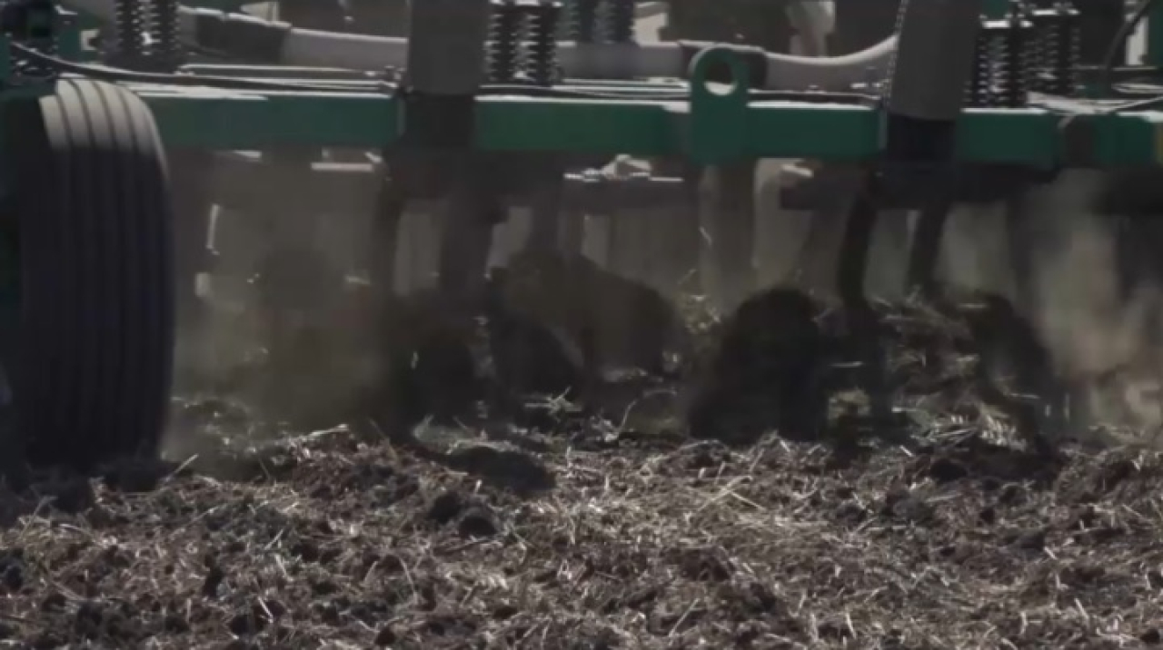 Площадь посевов в Казахстане вырастет до 24 млн га