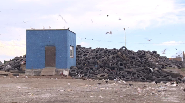 405 штрафов наложено за нарушение экологического законодательства