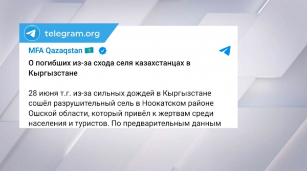 Сель в Кыргызстане: найдены тела двух казахстанских детей