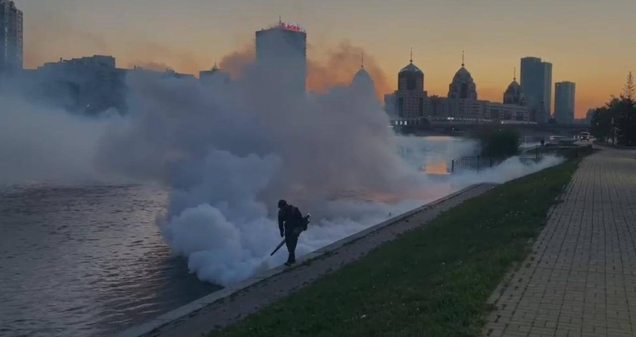 Четвертый тур дезинсекционных работ стартовал в Астане