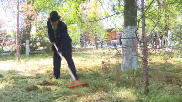 Шымкентте экоакция бұқаралық сипат алды