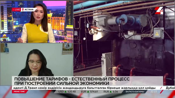Повышение тарифов – естественный процесс при построении сильной экономики. Акбота Жакаева