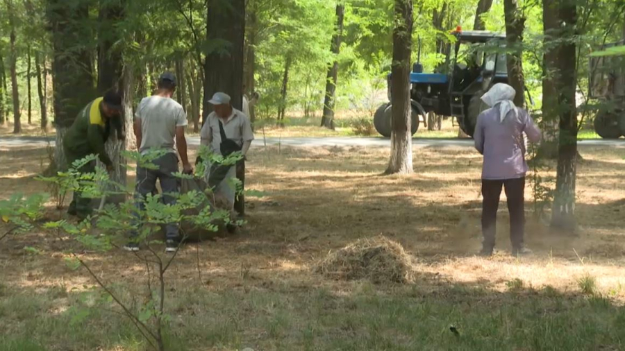 Жамбыл облысында 300-ден астам қоқыс үйіндісі жойылды