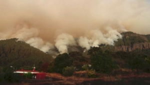 Лесной пожар на Тенерифе: эвакуированы тысячи жителей