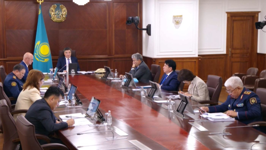 Закон и порядок: новую наркополитику разработают в Казахстане