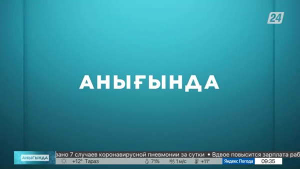 Ұшақ билетінің бағасына бақылау бола ма? | Анығында