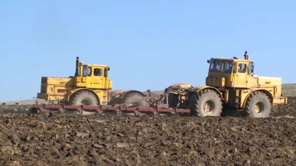 Посевные площади вокруг Шымкента сократили на 500 га