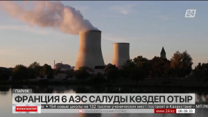 Франция 6 АЭС салуды көздеп отыр