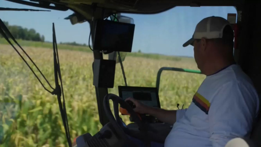 Рынок зерна в мире