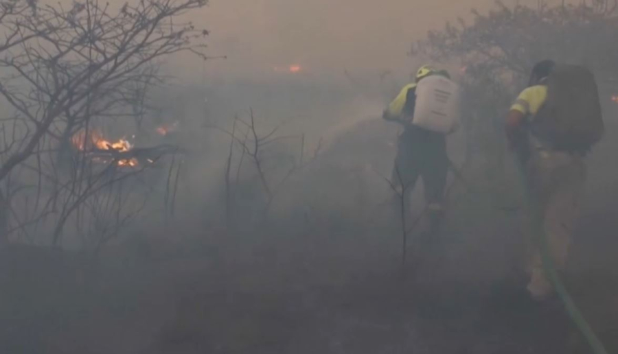 В 23 штатах Мексики бушуют лесные пожары