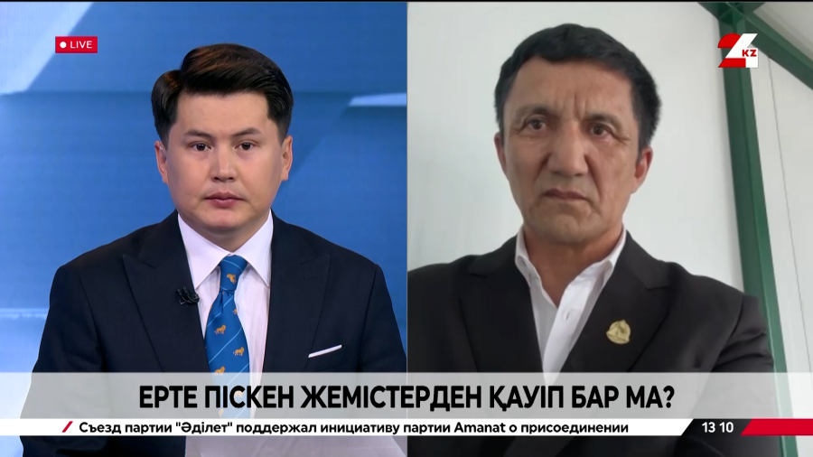 Ерте піскен жемістерден қауіп бар ма? Бағай Назарбайұлы
