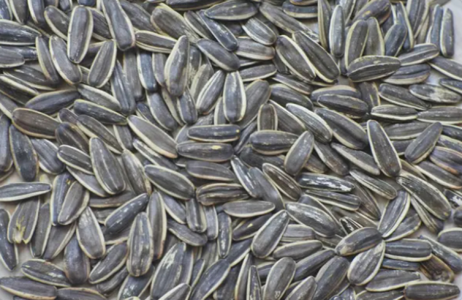 Фура с 35 тоннами семечек перевернулась в Жетысу