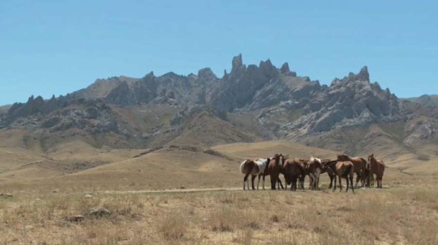Как появился легендарный кюй «Салтанат»?