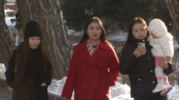 Токаев: Мы должны научиться бережливости