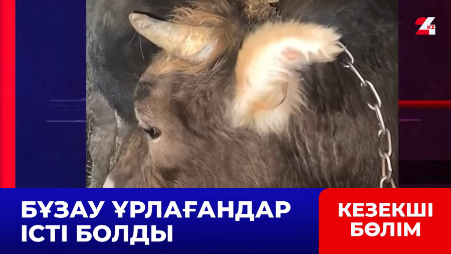 Ауылдастарының малын ұрлағандар