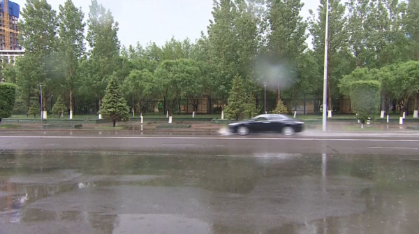 Дожди пройдут на большей части Казахстана