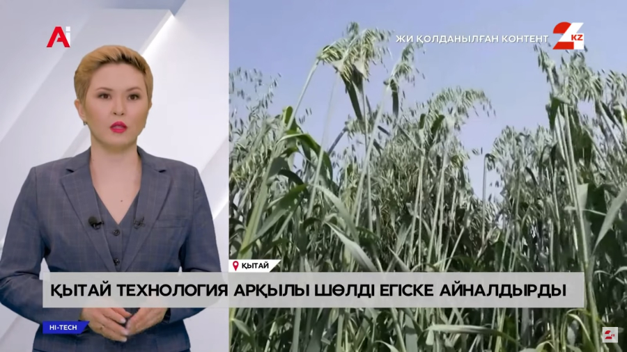 Қытай технология арқылы шөлді егіске айналдырды