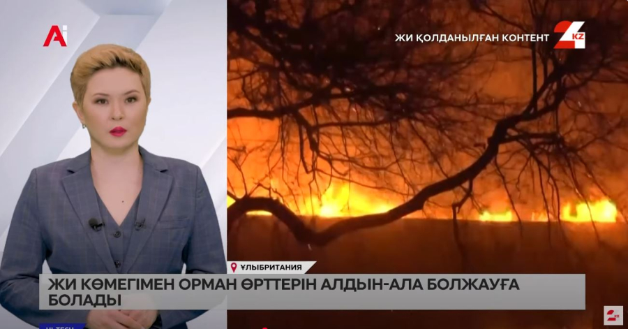 ЖИ көмегімен орман өрттерін алдын ала болжауға болады