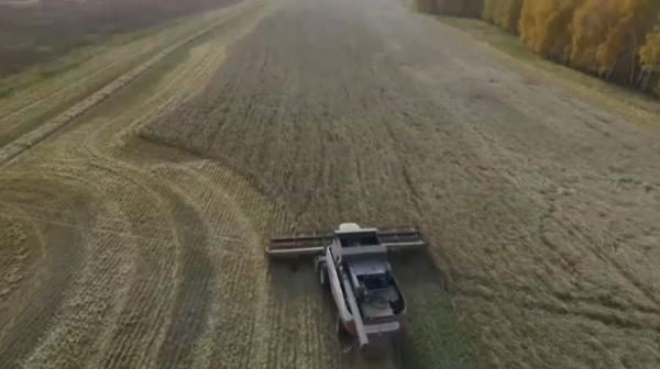 В СКО приступили к уборочной кампании