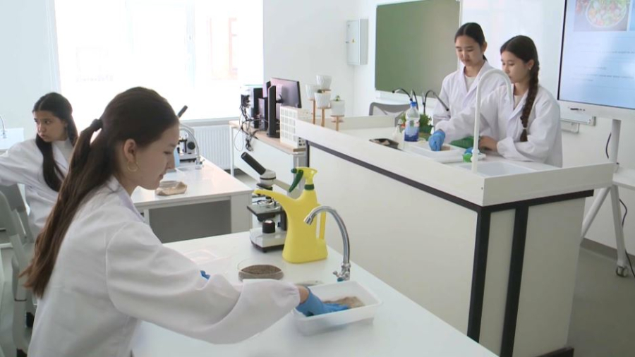 «Келешек мектептері» в Костанае: как школа меняет подход к обучению