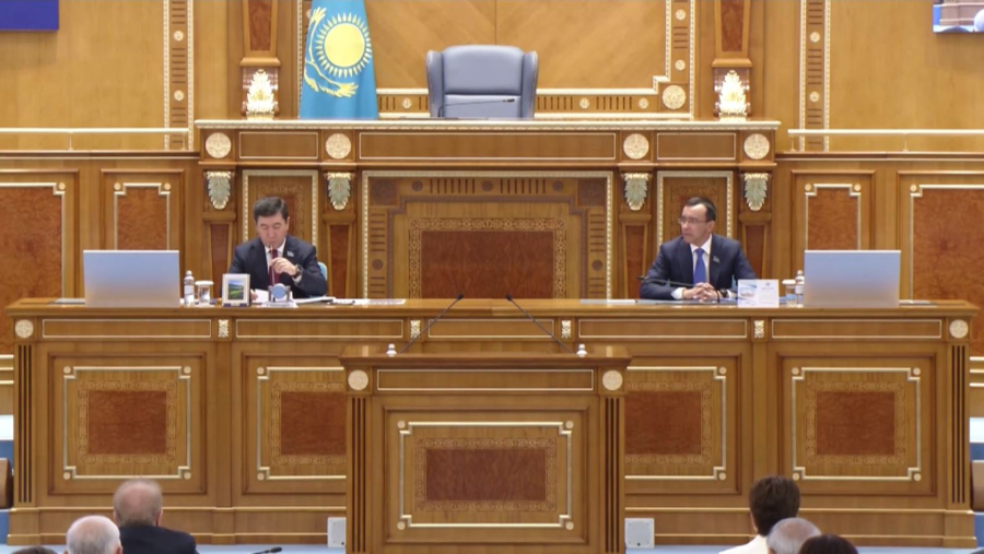 Үкімет жүйелі проблемаларды шешу бойынша жұмыс жүргізіп жатыр