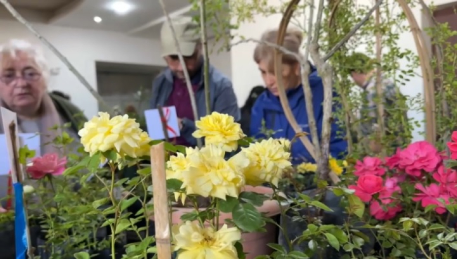 Ежегодная выставка роз состоялась в Тбилиси