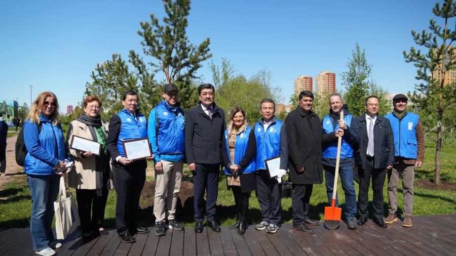 Сибирские сосны высадили в Астане