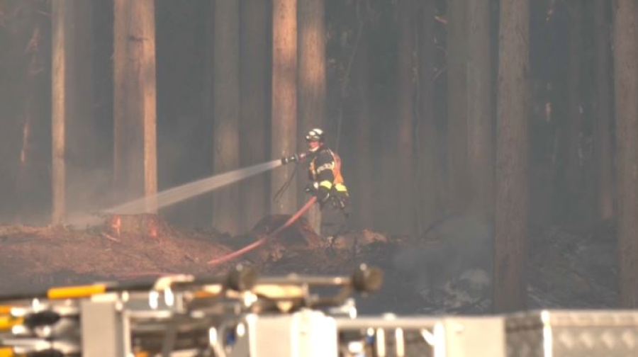 Масштабные лесные пожары продолжаются в Японии