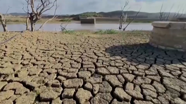 2023 год побил все температурные рекорды