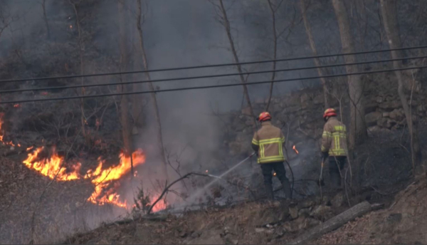 Оңтүстік Кореяда 33 мың гектар орман алқабы өртенді