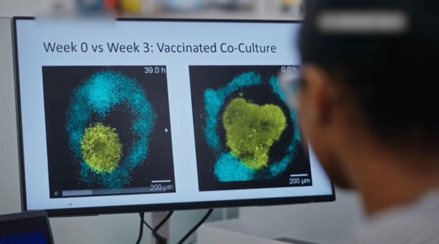 Коронавирус қатерлі ісікке ұласуы мүмкін