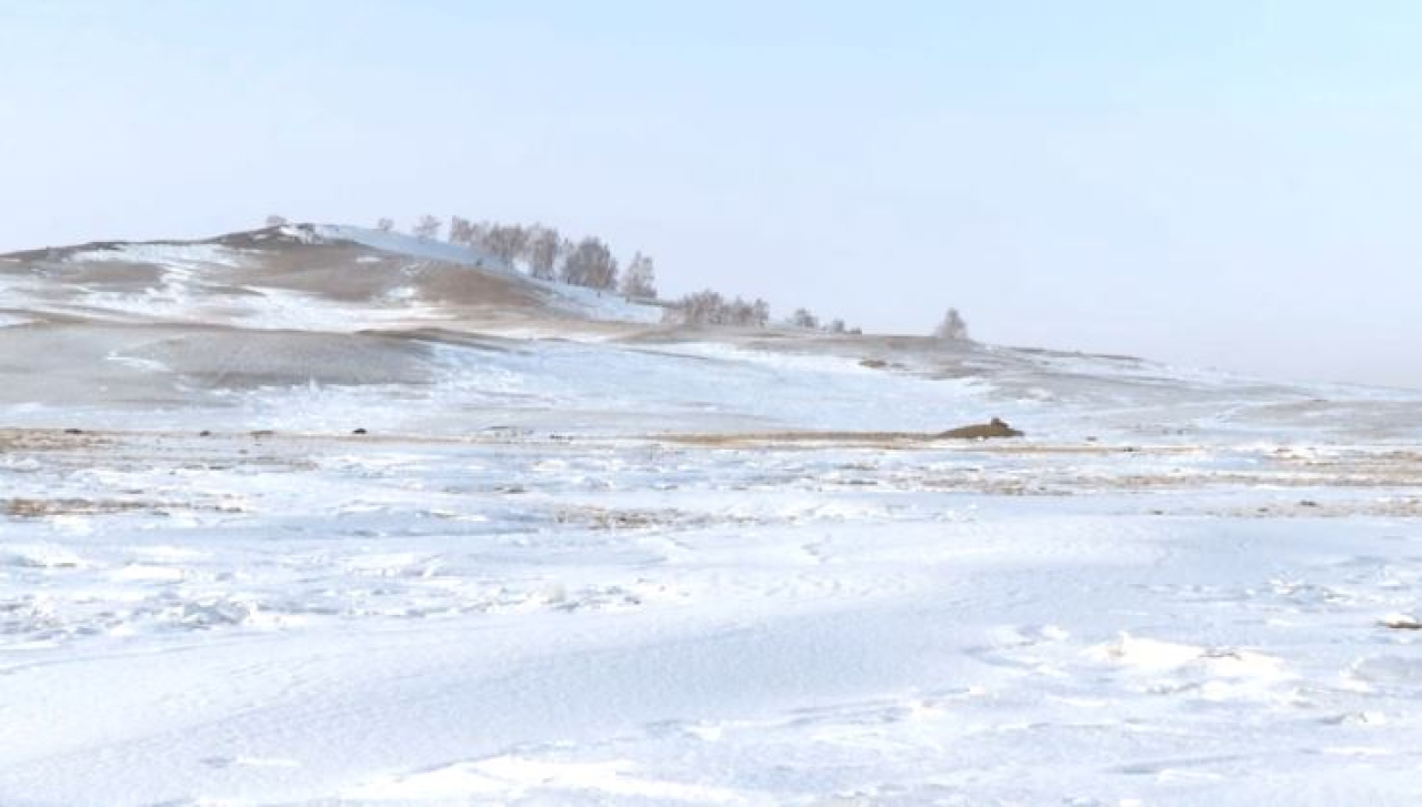 Права 178 фермеров восстановили в Акмолинской области