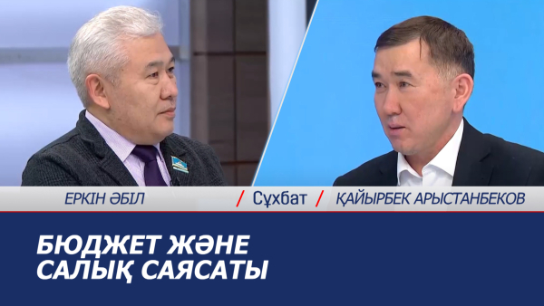 Сұхбат. Бюджет және салық саясаты