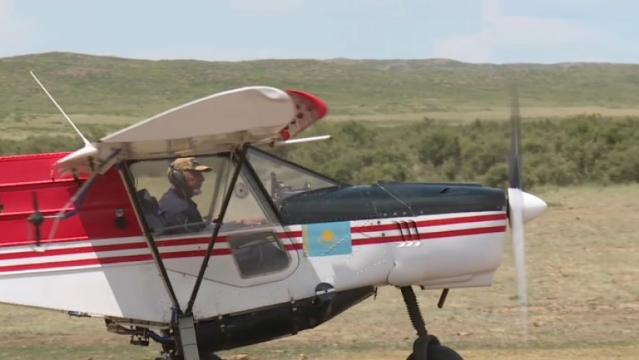 Малую авиацию используют в борьбе с саранчой в Карагандинской области