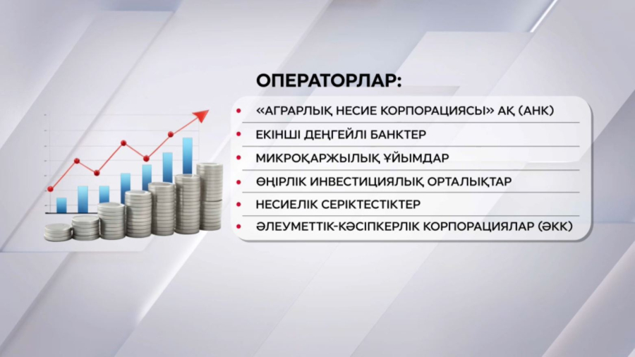 Биыл шаруаларға 700 млрд теңге жеңілдетілген несие беріледі