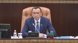 М. Әшімбаев: Сенаторларға жүктелетін міндеттің жүгі ауыр