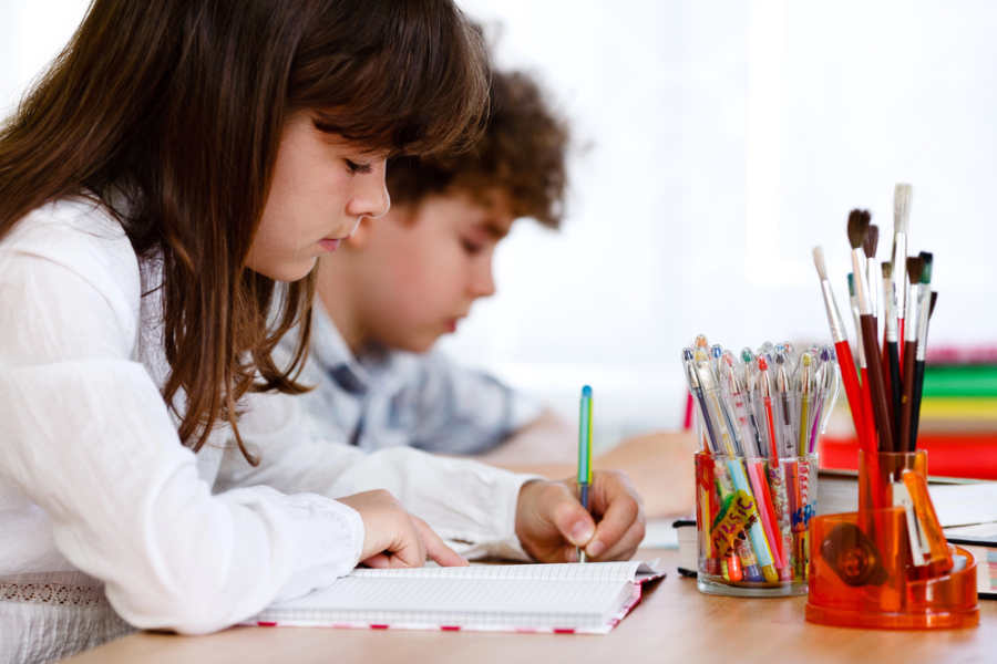 Дети Казахстана смогут обратиться к главному педагогу страны: стартовала акция «Письмо Министру»