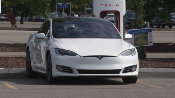 На 49% упали продажи электромобилей Tesla в Европе