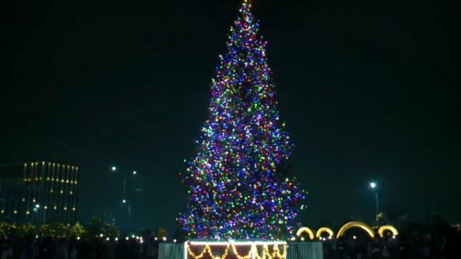 В Шымкенте зажгли огни на главной новогодней ёлке