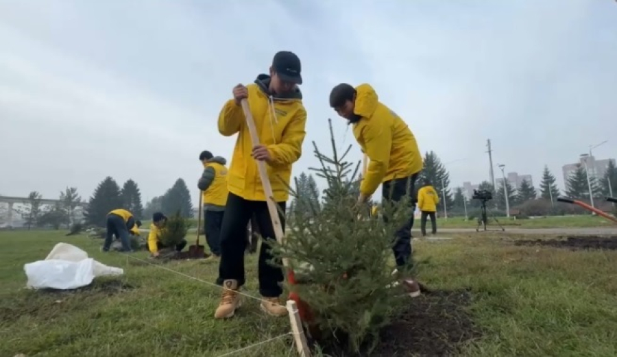 Зеленые аллеи в центре Усть-Каменогорска создают волонтеры