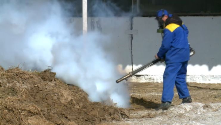 185 кызылординцев пострадали от укусов клещей