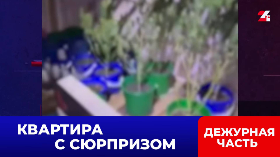 Нарколабораторию обнаружили в квартире Уральска