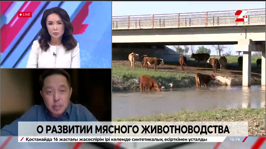 О развитии мясного животноводства. Толеген Бозжанов