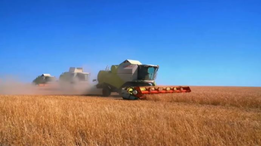 Пять млн тонн зерна собрали аграрии Акмолинской области