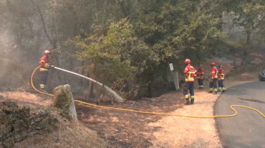 Лесные пожары в Португалии: сгорело 14 тысяч гектаров