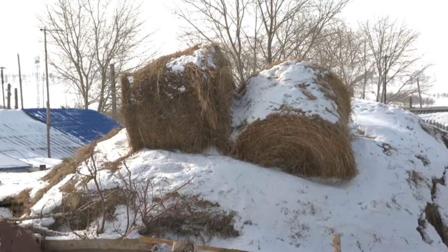 Ақмола облысында 178 шаруаның құқығы қорғалды